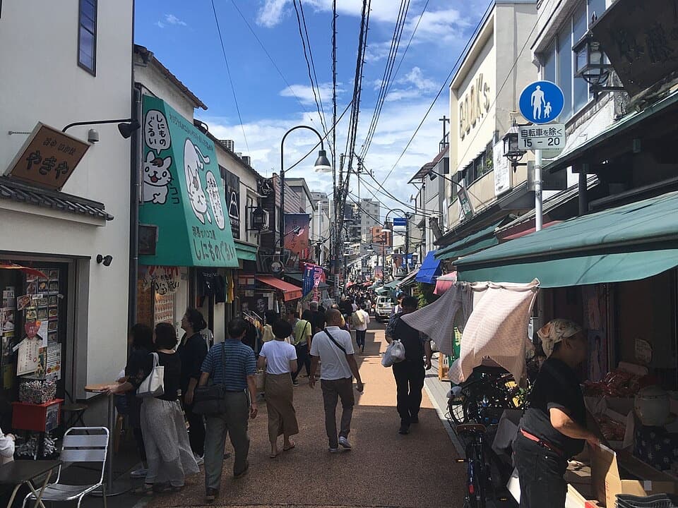 Tokyo Like a Local
